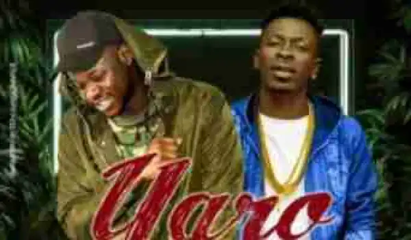 Medikal - Yaro Ft. Shatte Wale